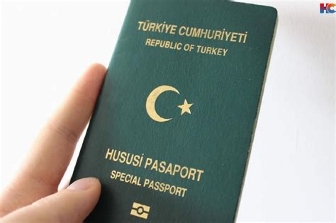 yerli pasaport nedir